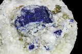 Lazurite and Pyrite in Marble Matrix - Afghanistan #111771-1